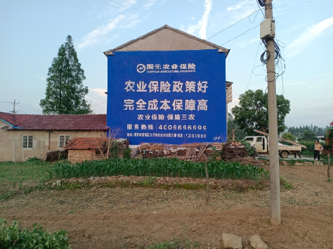 彝良县墙体广告的优劣势你知道吗？