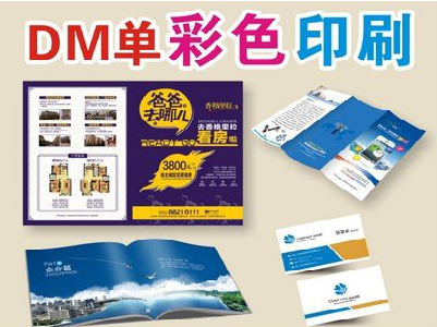 彝良县单页印刷，色彩搭配简单。